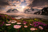 Sunset in Alaska Diamond Painting